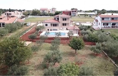 Spacious house with swimming pool and 3 APP in Novigrad