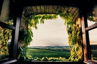 Istra