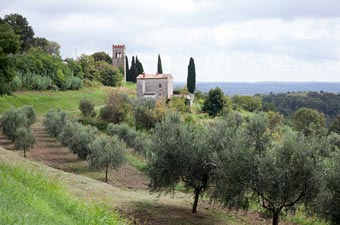 Istra