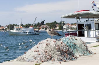 Umag